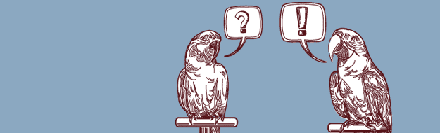 Two talking parrots